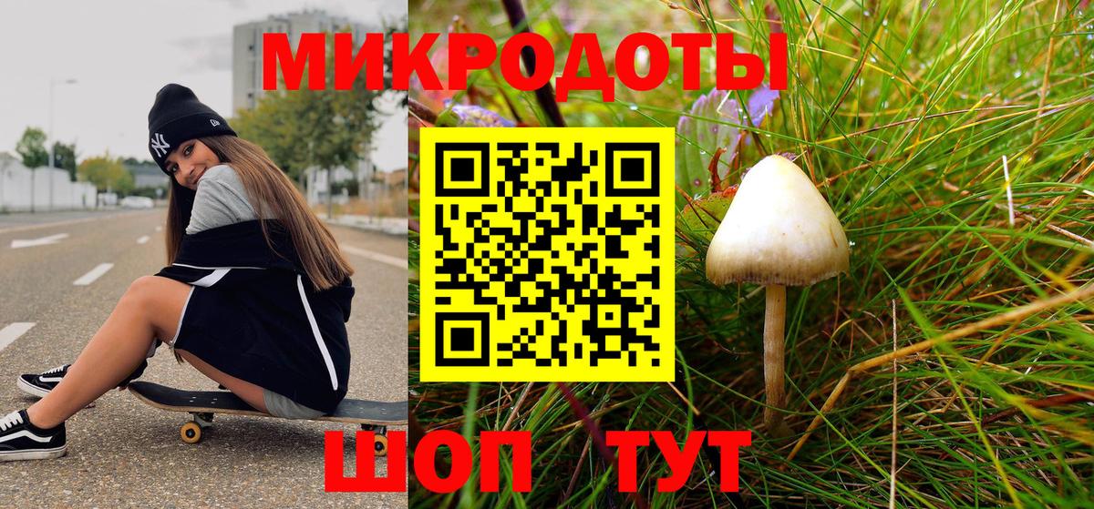 Псилоцибиновые грибы MAGIC MUSHROOMS Черняховск